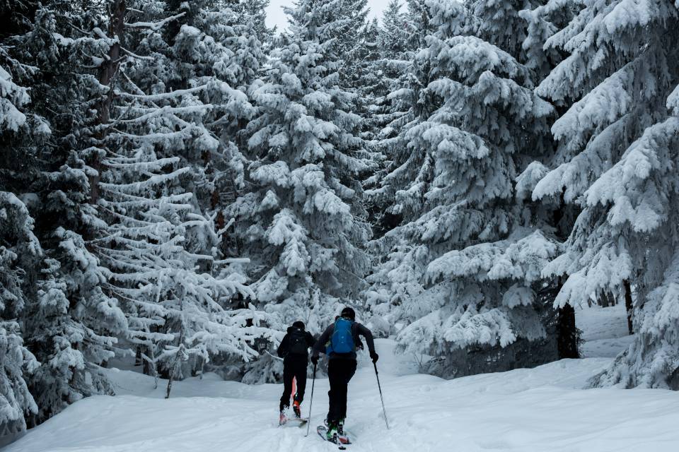 In cooler temperatures: Winter sports - Gasthof Lafette